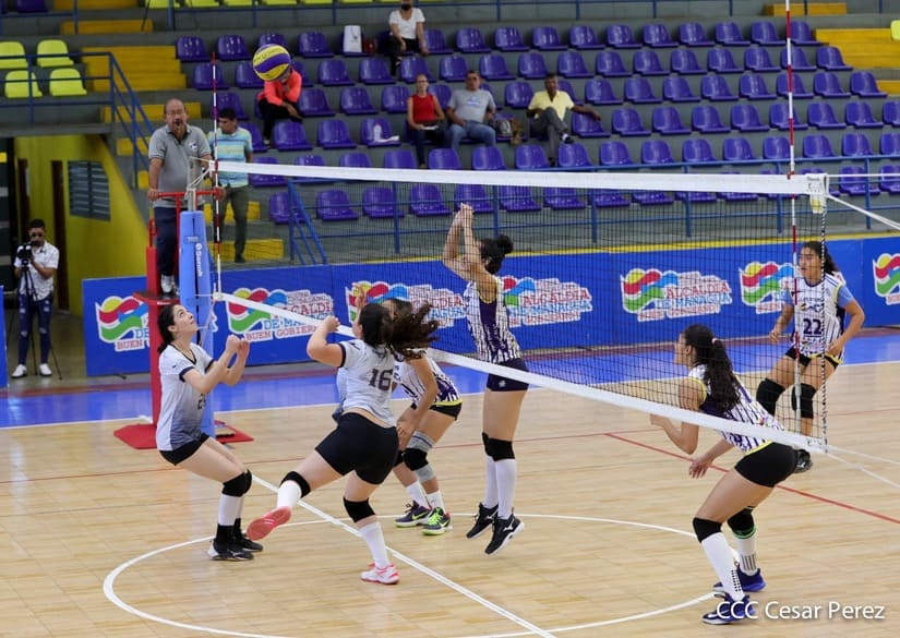 voleibol
